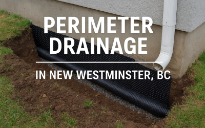Perimeter Drain