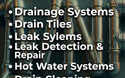 Pressure Release Valve Replacement Surrey BC | Professional Plumbing Services